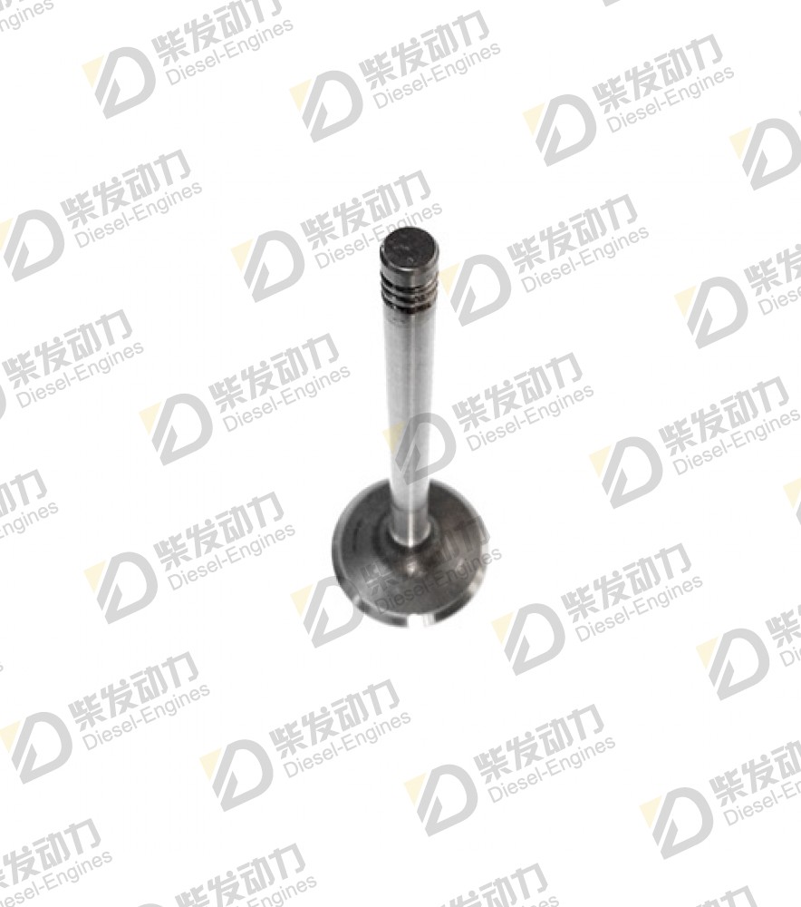 Exhaust valve, exhaust